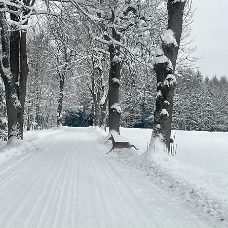 Žďár nad SázavouGarsonka V Srdci Vysociny公寓 外观 照片