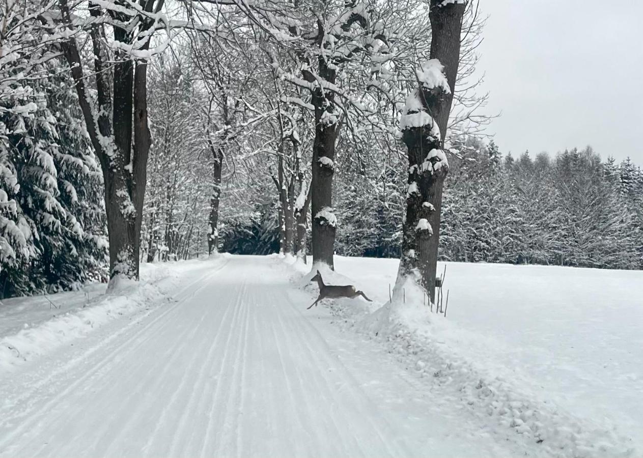 Žďár nad SázavouGarsonka V Srdci Vysociny公寓 外观 照片